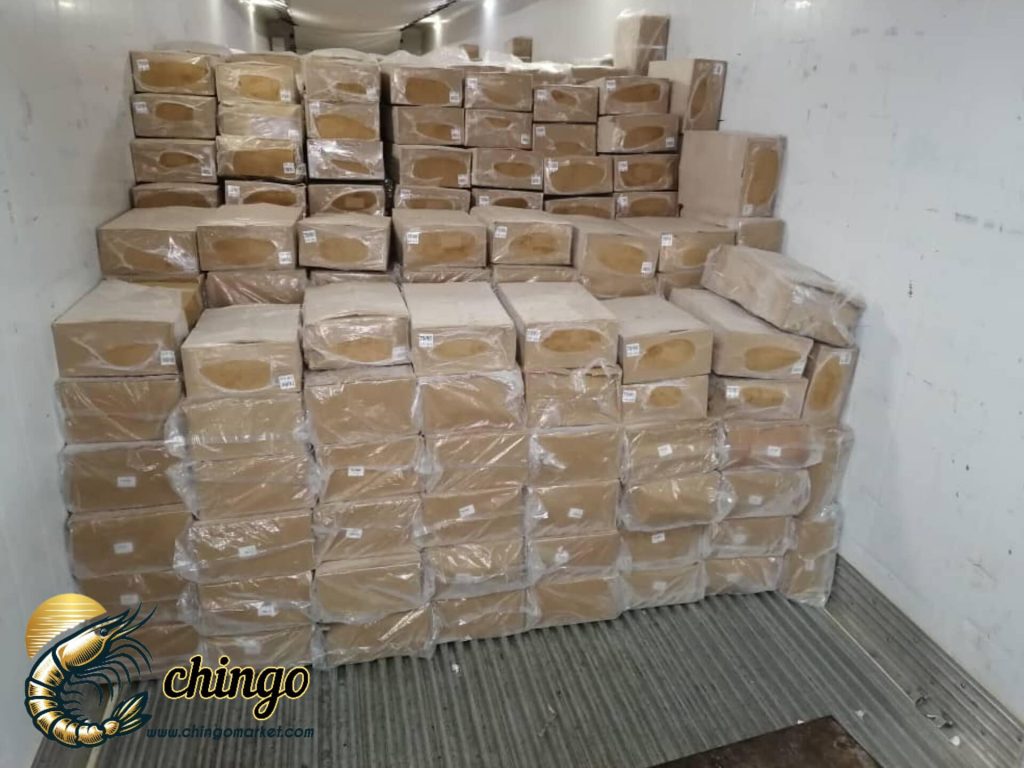 میگو پرورشی عمده