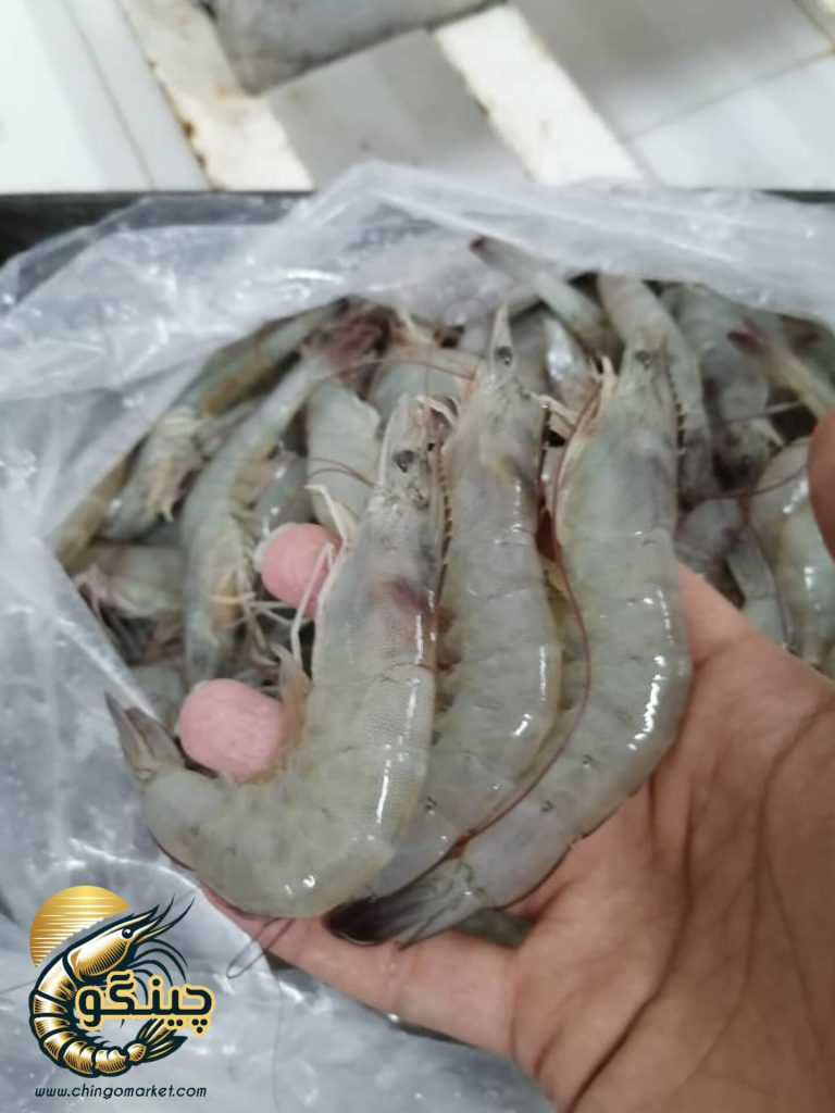 میگو ریز عمده