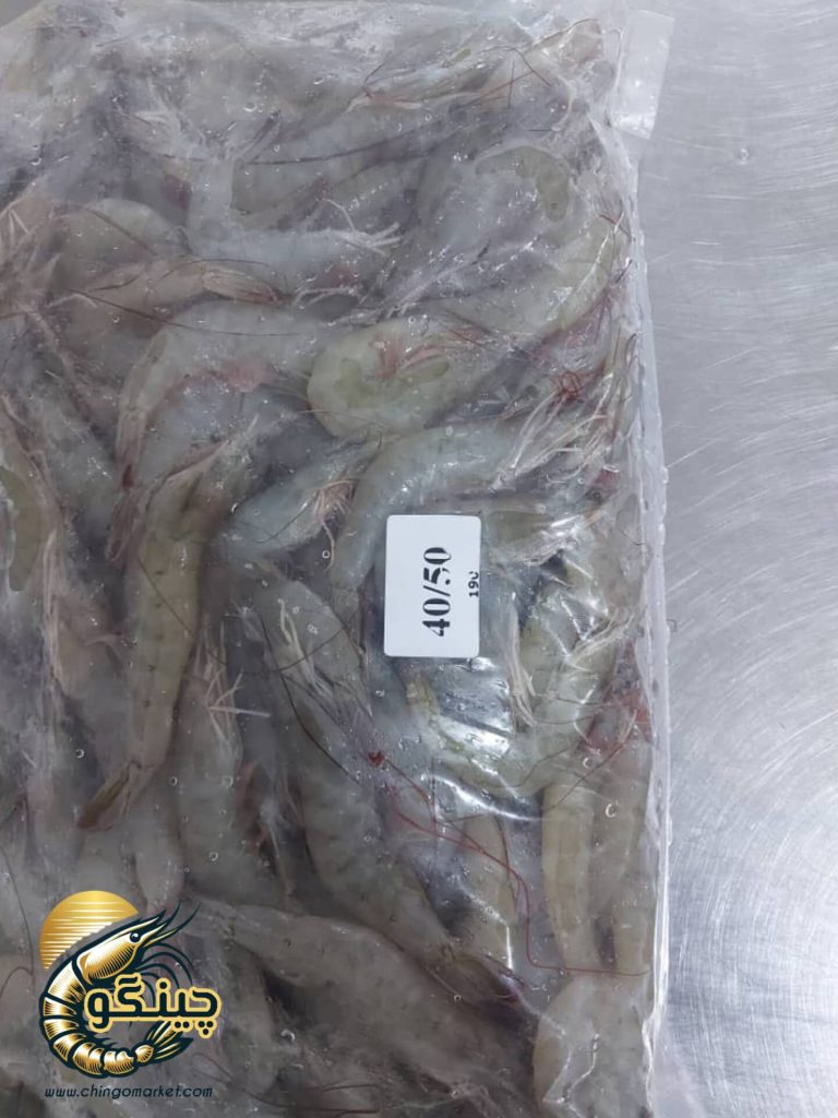 میگوی بوشهر
