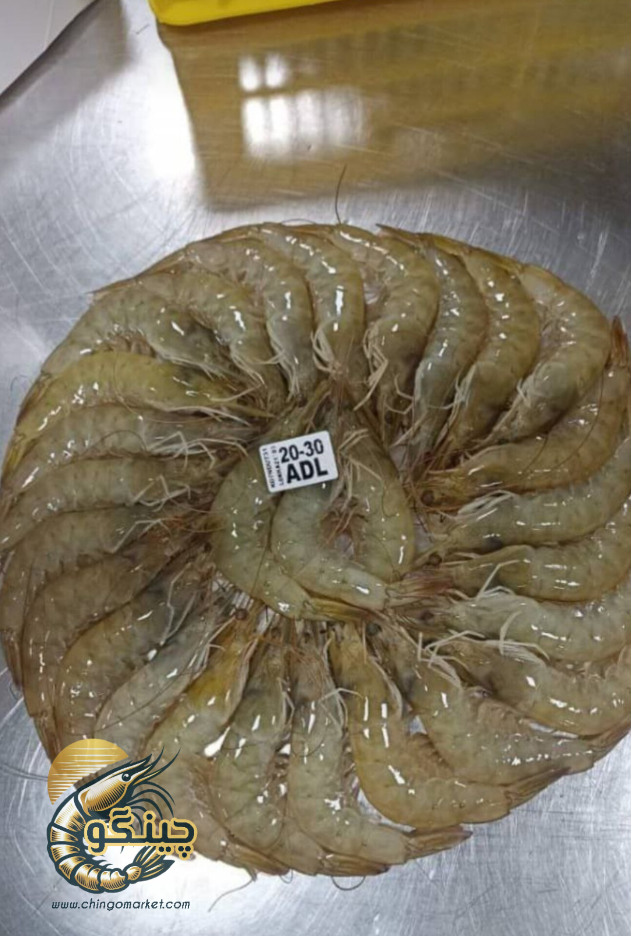 میگو صادراتی بوشهر