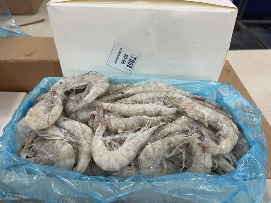 خرید میگو وانامی بوشهر