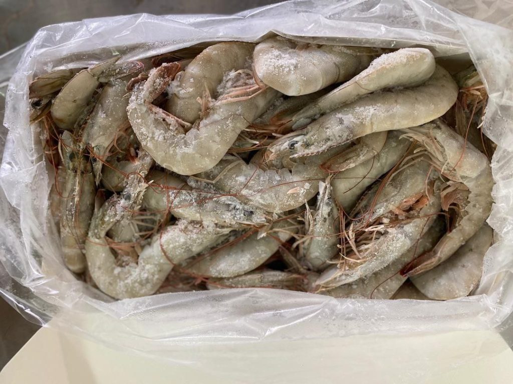 قیمت میگوی صادراتی بوشهر